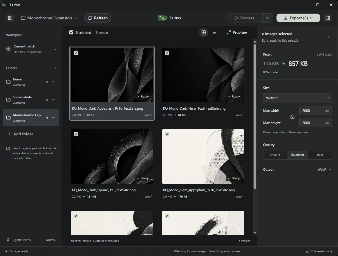 Lumo workspace with a folder of images together in one batch.